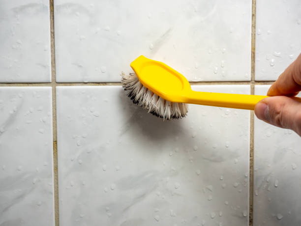 Best Emergency Mold Removal  in Goldsboro, NC