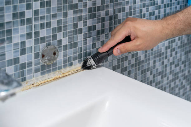 Best Best Mold Removal Companies  in Goldsboro, NC